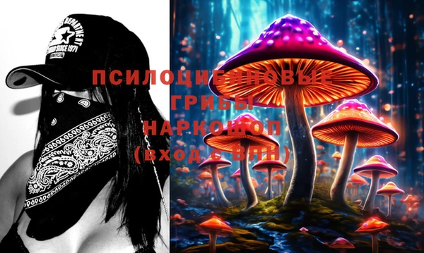 ГАЛЛЮЦИНОГЕННЫЕ ГРИБЫ Верхний Тагил
