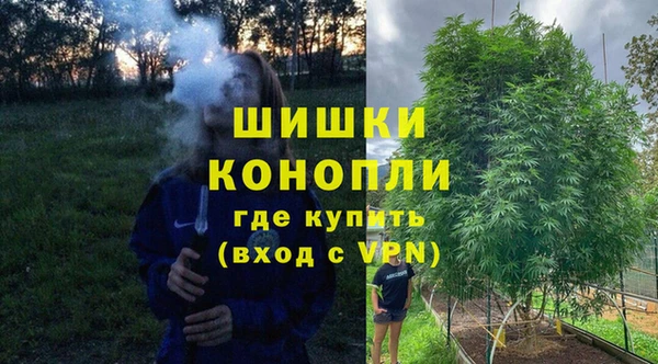 ГАЛЛЮЦИНОГЕННЫЕ ГРИБЫ Верхний Тагил