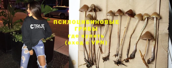 ECSTASY Володарск